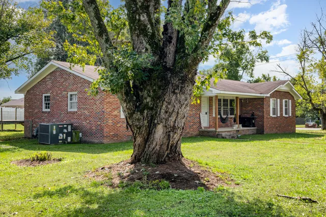 a view of a house with a yard potted plants and large tree