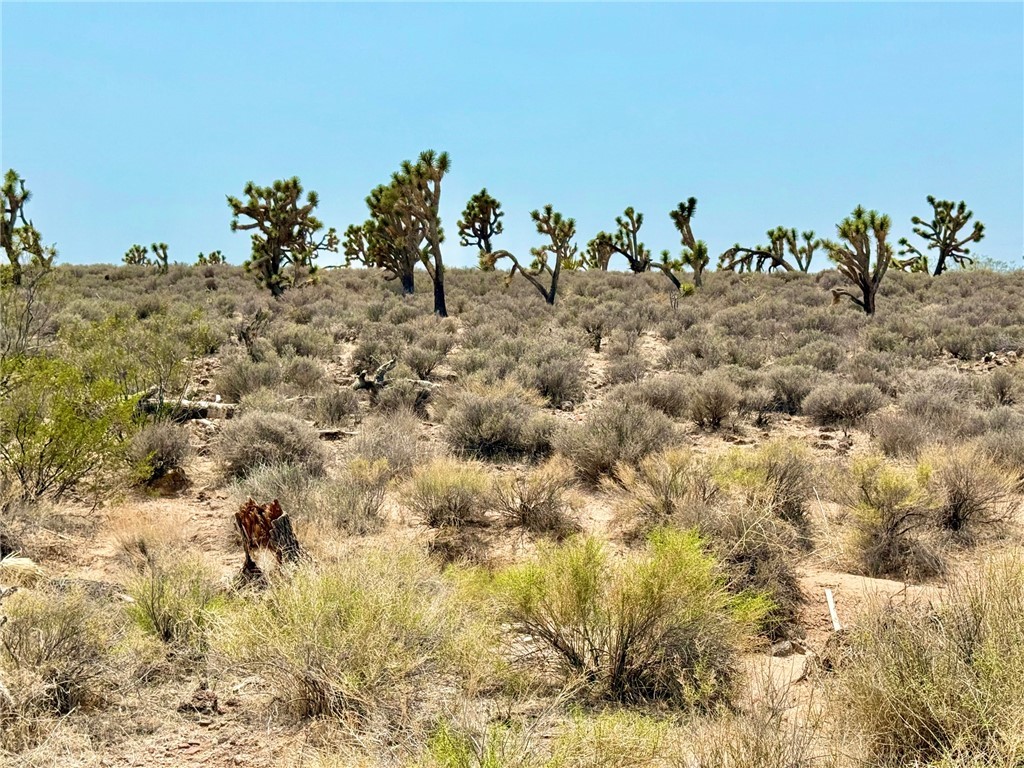 26681 Yucca Meadview, AZ 86444 - Photo 8 of 25