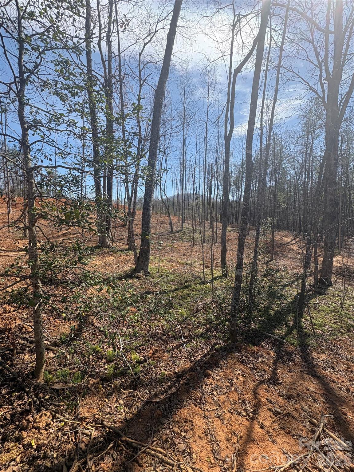 Tbd Avenida De Oro Road, Unit 2 1 Morganton, NC 28655 - Photo 1 of 2 a backyard of a house with lots of green space