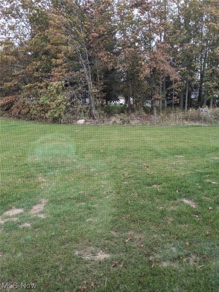 174 West Spring Drive Elyria, OH 44035 - Photo 19 of 19 View of yard