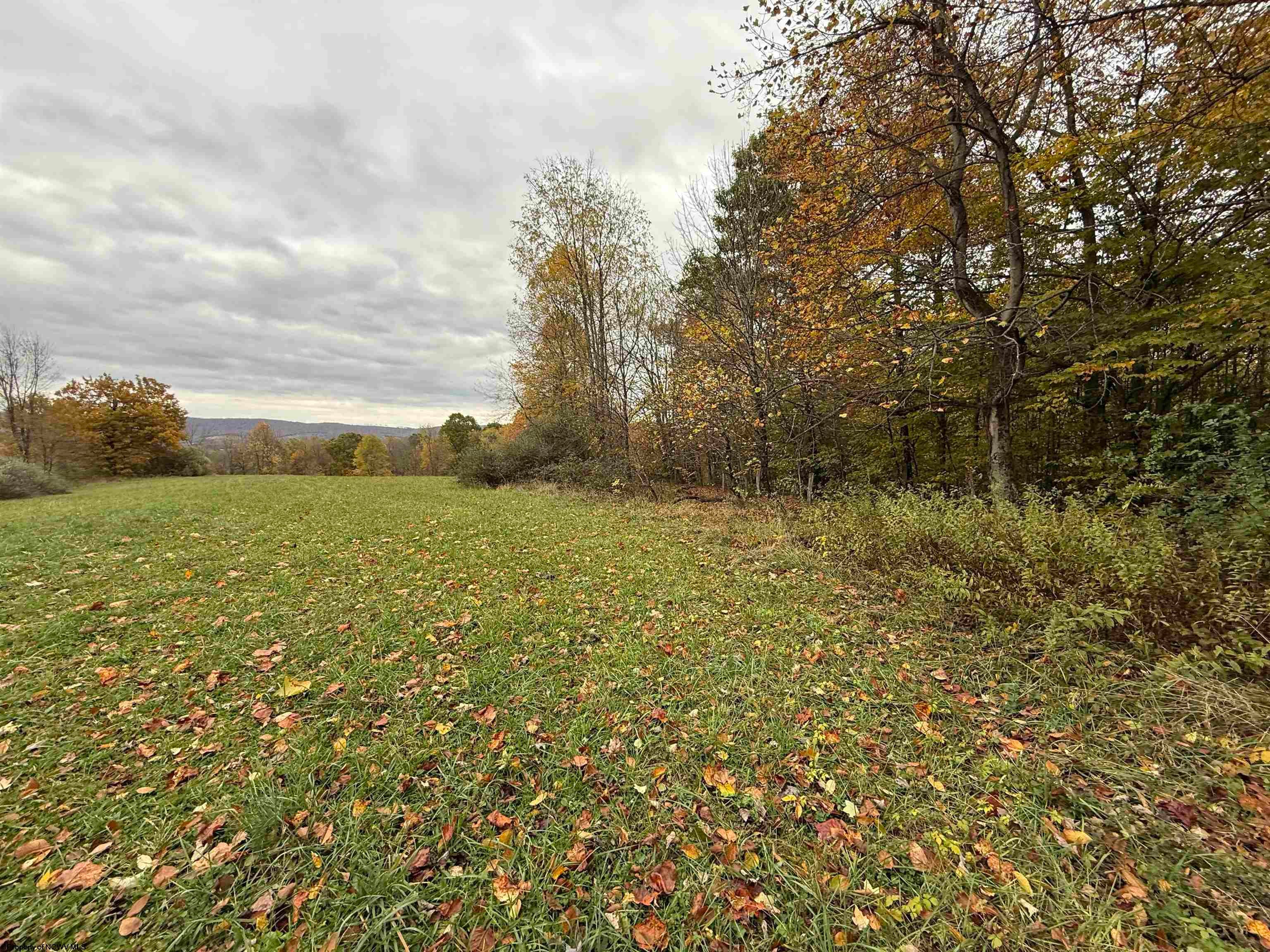 0 Riggins Kingwood, WV 26537 - Photo 7 of 40 Gallery Image 7