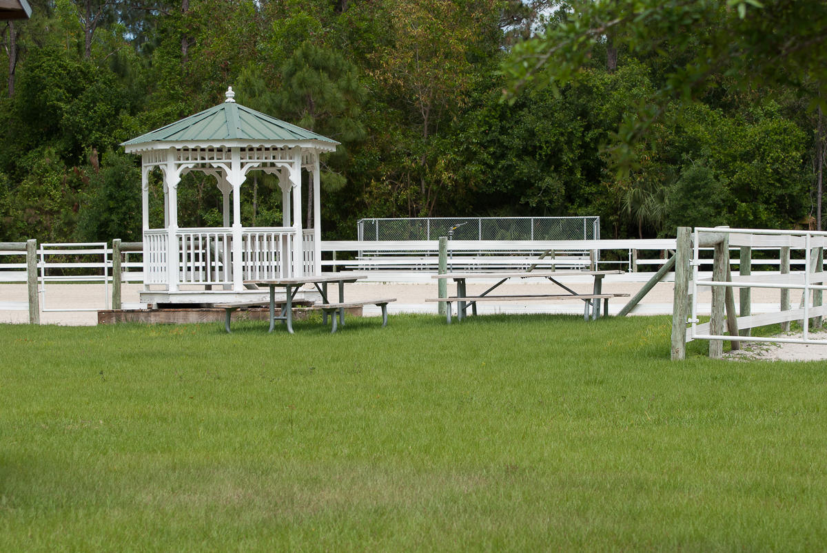 15094 Alexander Run Jupiter, FL 33478 - Photo 58 of 70 Equestrian Riding Ring