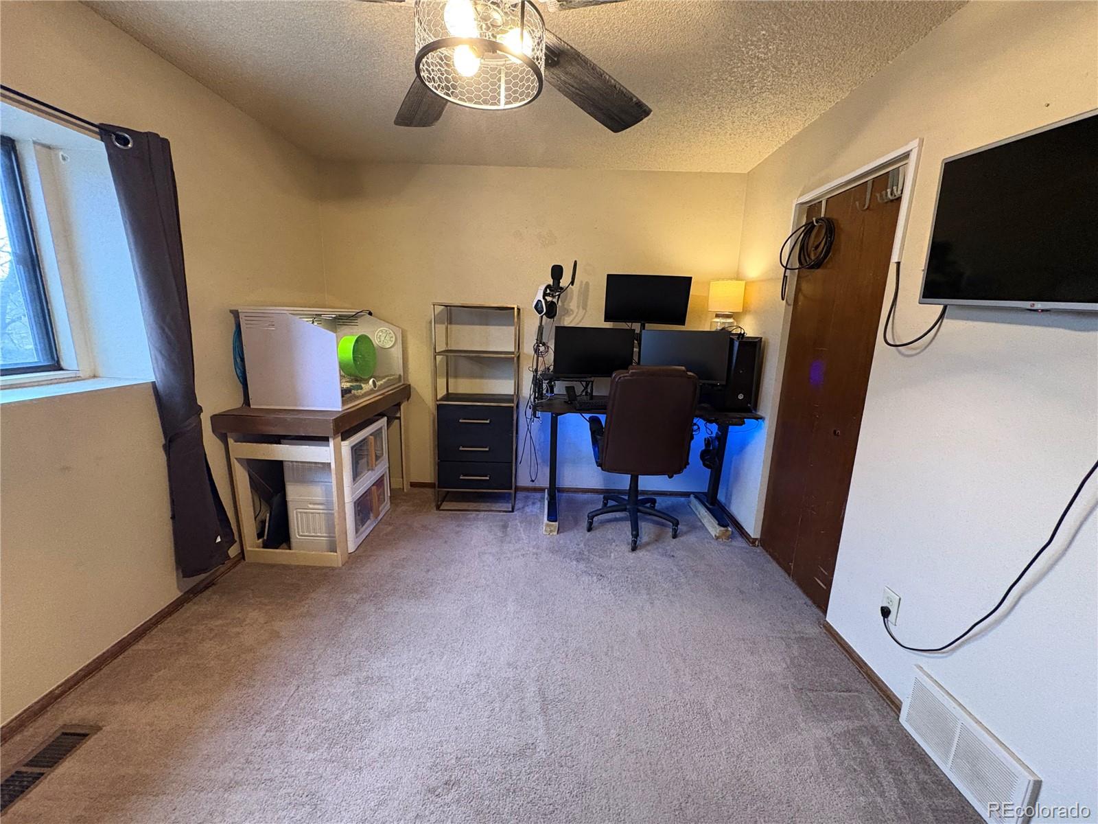 2482 Astrozon Circle Colorado Springs, CO 80916 - Photo 13 of 13