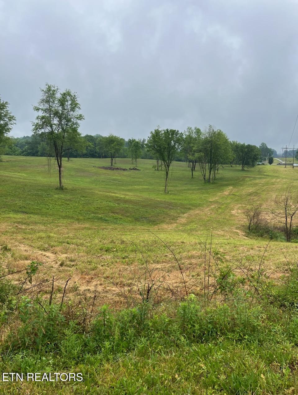 Stone Mill Road Jacksboro, TN 37757 - Photo 2 of 5 IMG956408