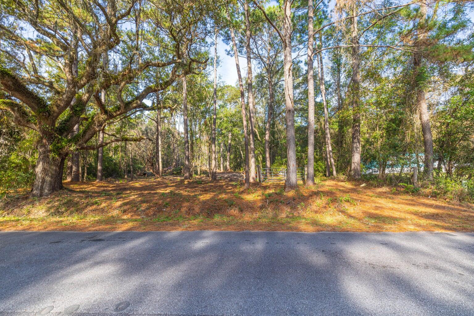 0 Dupre Road McClellanville, SC 29458 - Photo 14 of 21 20250512165137648601000000-o