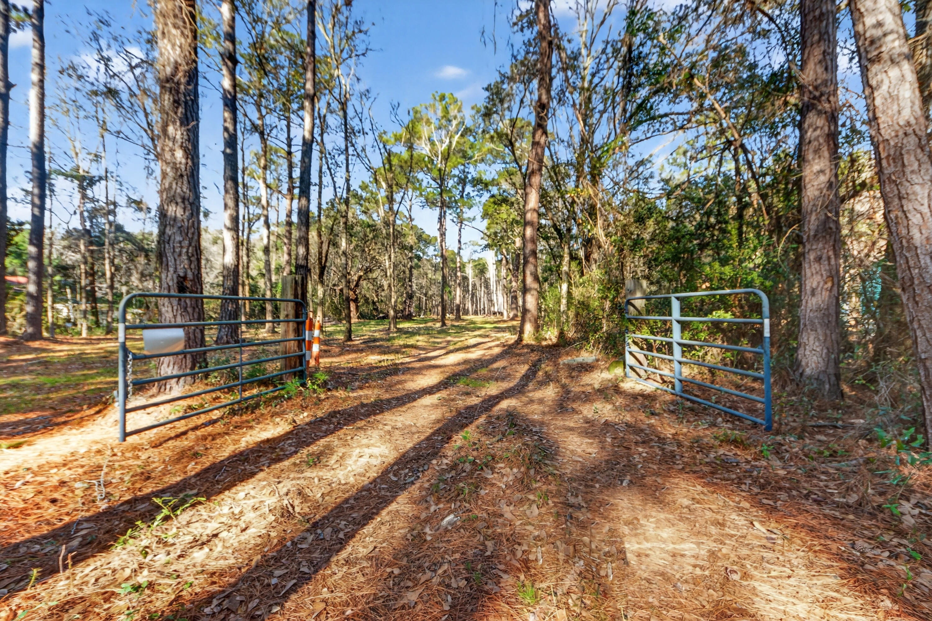 0 Dupre Road McClellanville, SC 29458 - Photo 15 of 21 _01A4628
