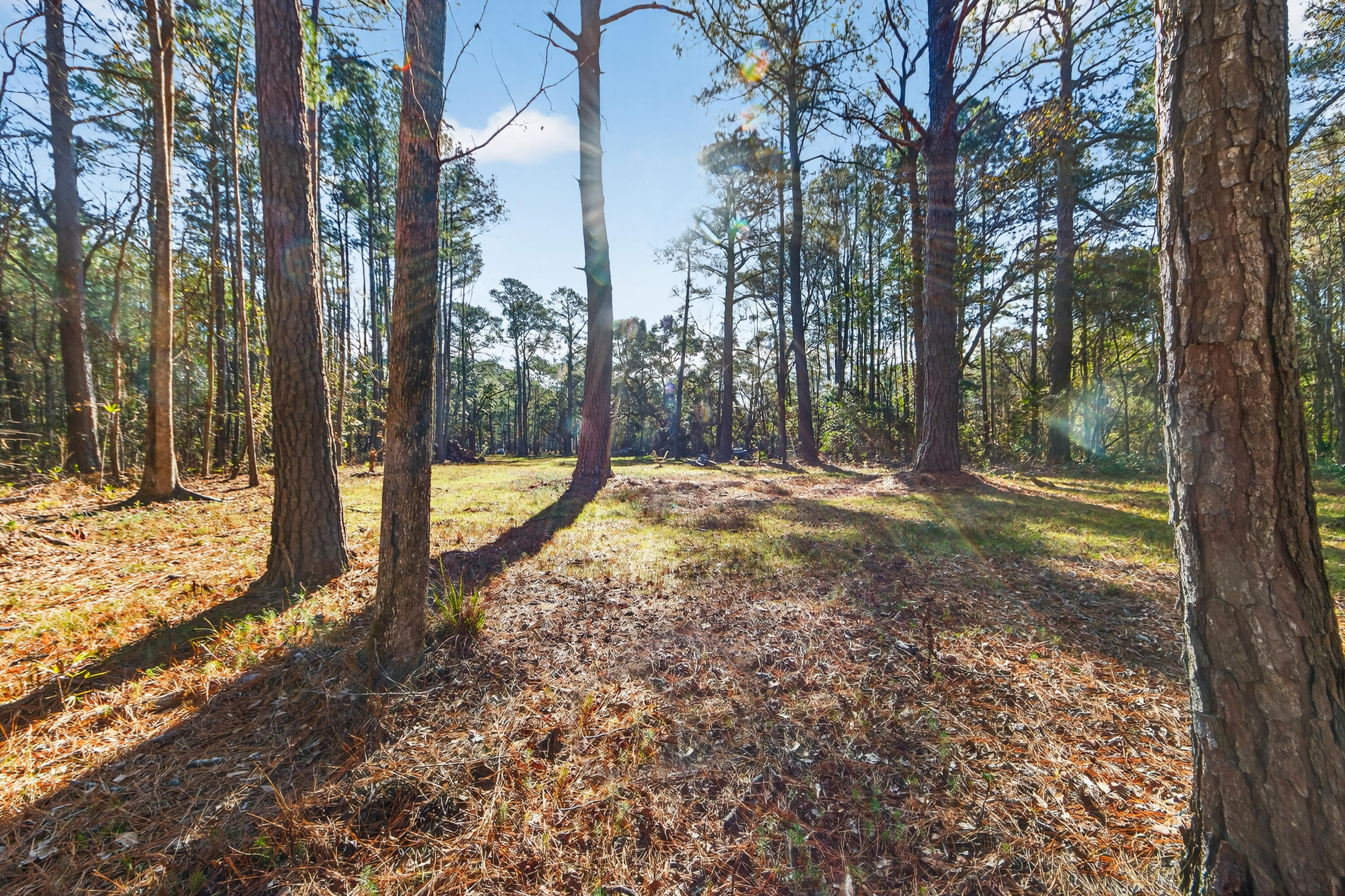 0 Dupre Road McClellanville, SC 29458 - Photo 18 of 21 _01A4584