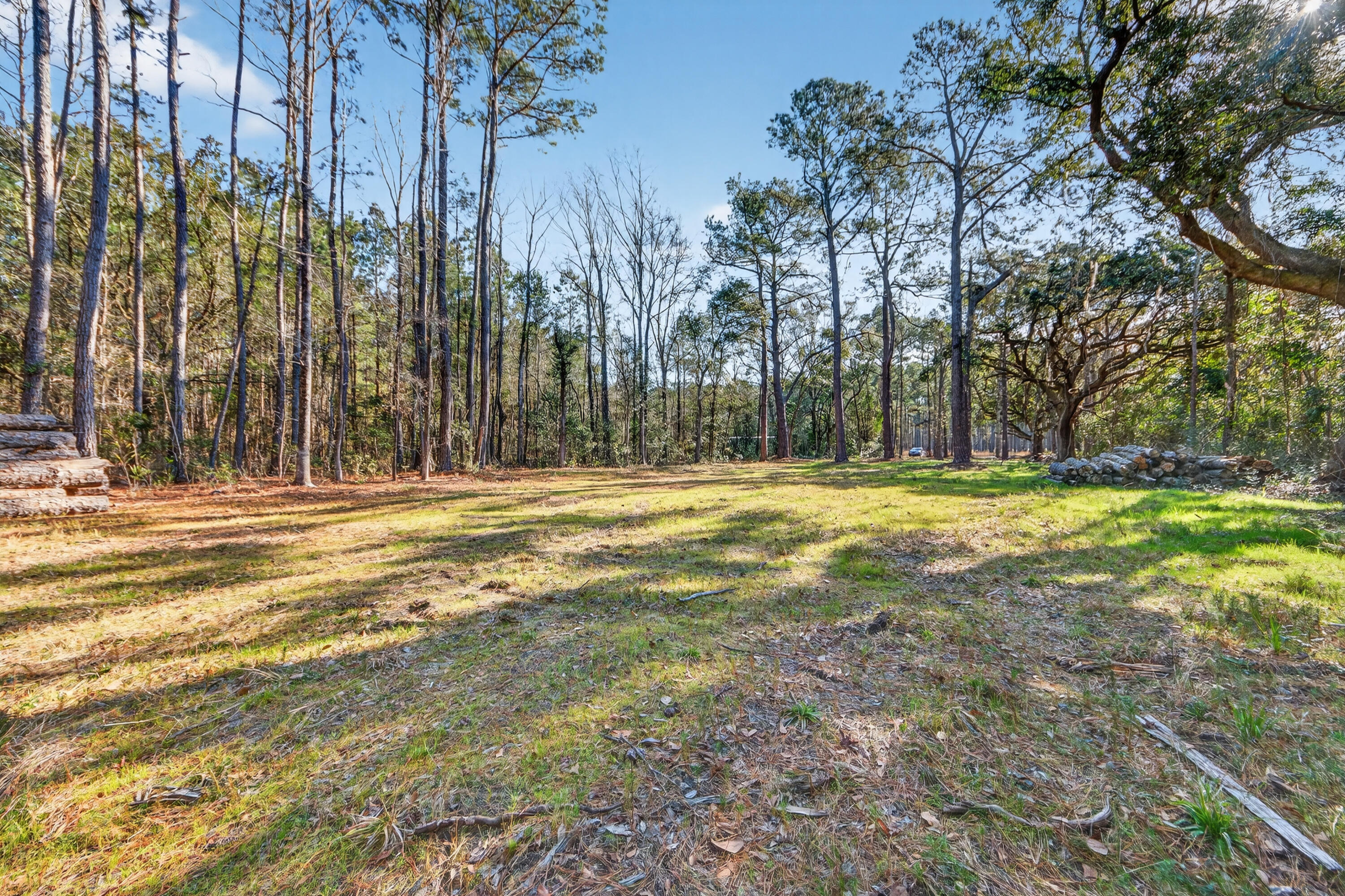 0 Dupre Road McClellanville, SC 29458 - Photo 6 of 21 _01A4604