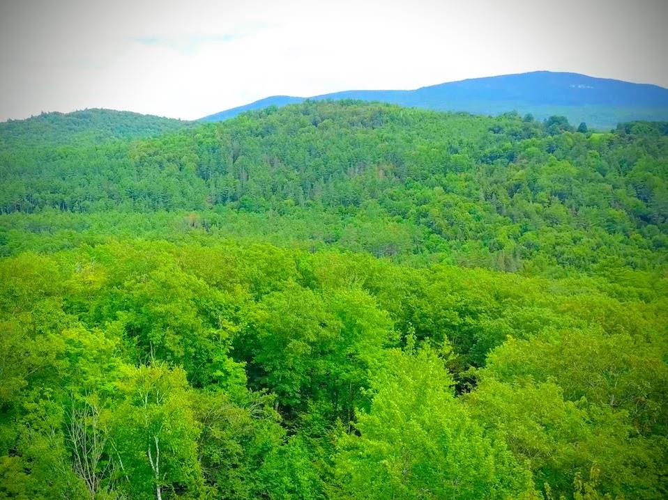 0 Wildwood Road Woodsville, NH 03785 - Photo 1 of 15