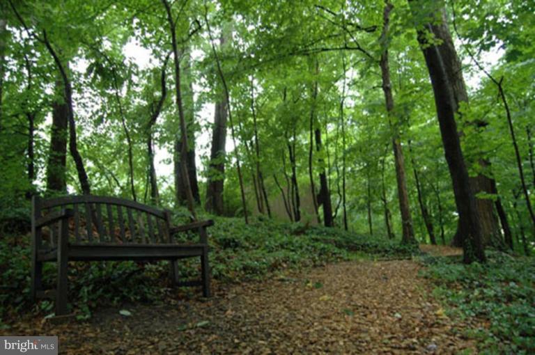 117 Cross Keys Road, Unit R117E Baltimore, MD 21210 - Photo 17 of 22 a view of outdoor space with lots of trees