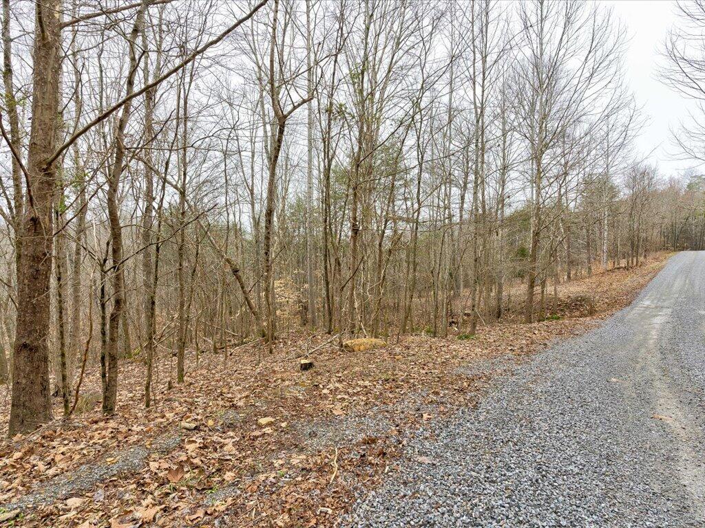 Lot 282 Bluff View Road, Unit 282 New Tazewell, TN 37825 - Photo 6 of 32 Lot 282 Bluff View Rd - 6