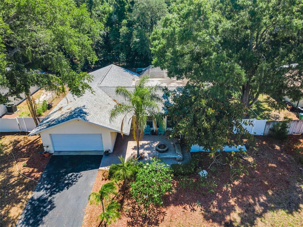 520 Sandy Hook Road Palm Harbor, FL 34683 - Photo 2 of 76