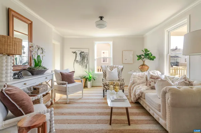 a living room with furniture and a potted plant