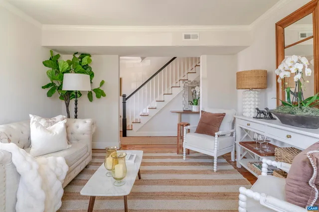 a living room with furniture and a potted plant
