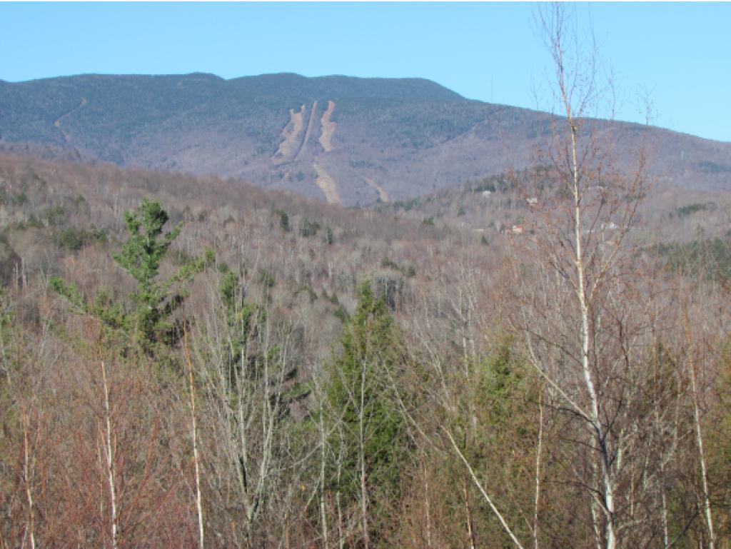 7 Murray Hill Road Warren, VT 05674 - Photo 14 of 16