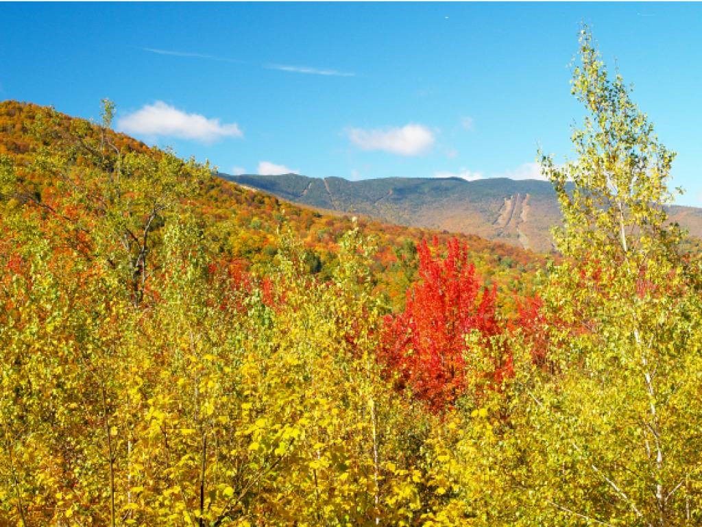 7 Murray Hill Road Warren, VT 05674 - Photo 9 of 16