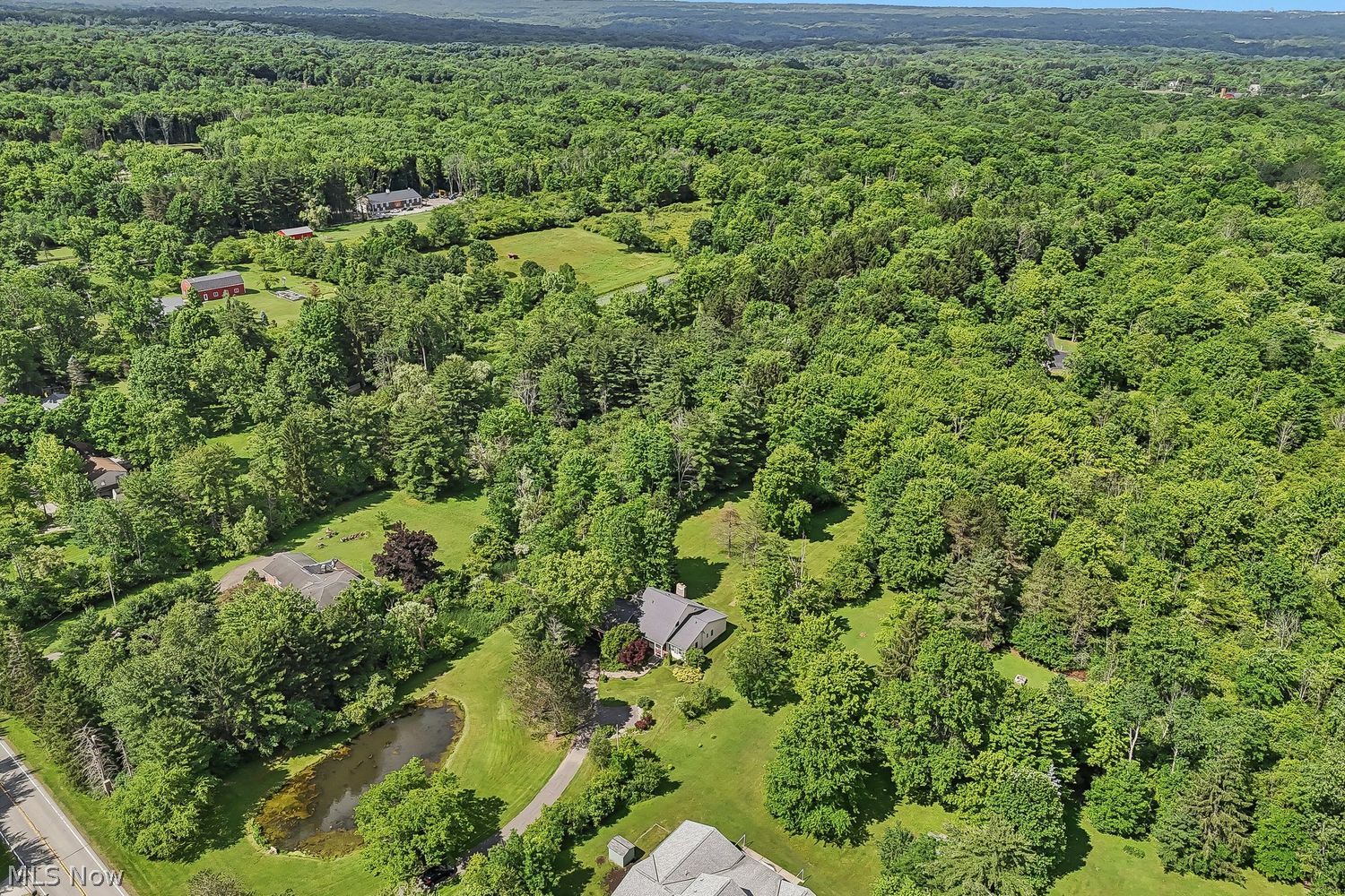 14380 Caves Road Novelty, OH 44072 - Photo 45 of 49