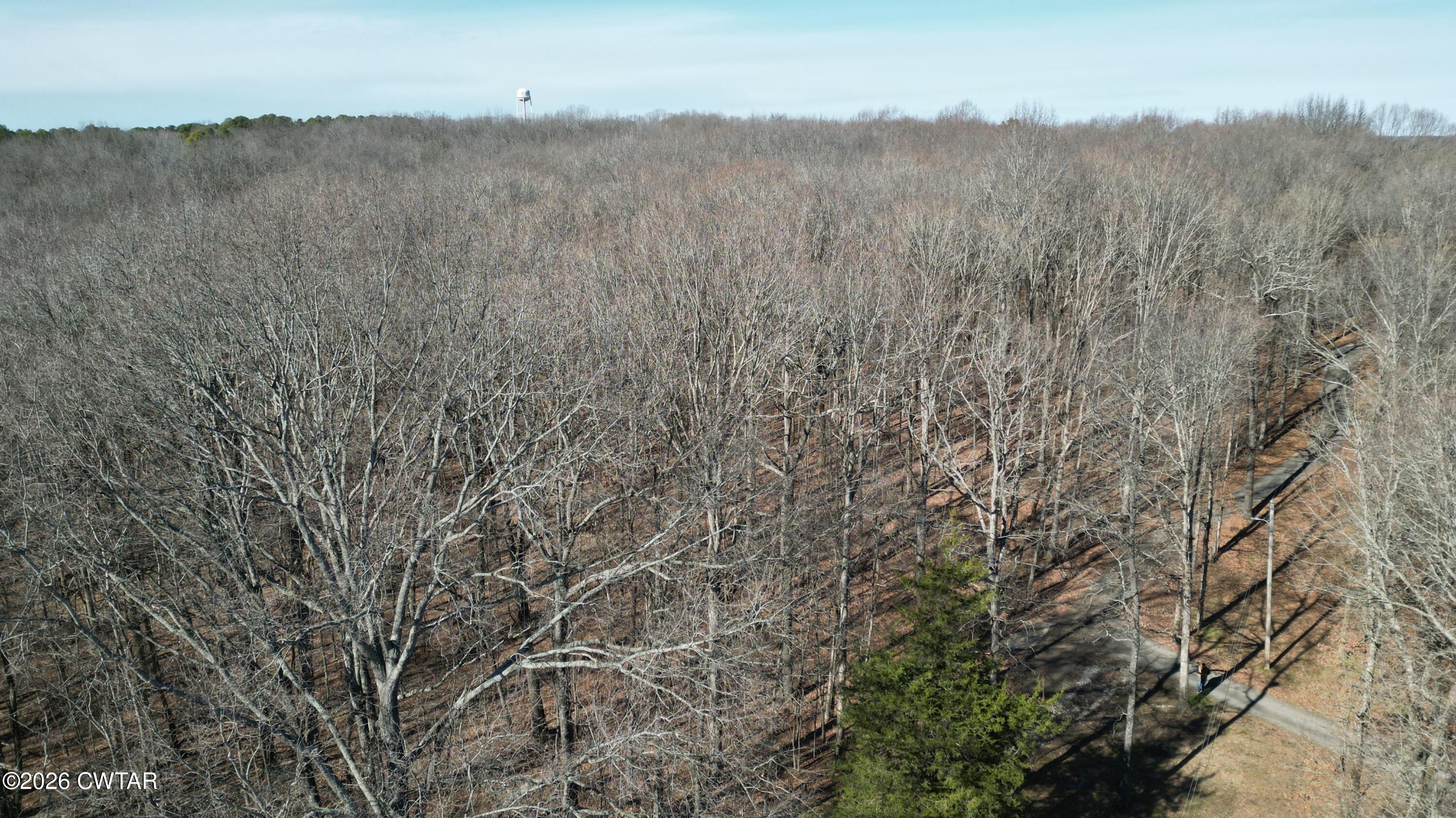 372 Aubrey Fergerson Road Gadsden, TN 38337 - Photo 50 of 50 a view of a mountain from a yard