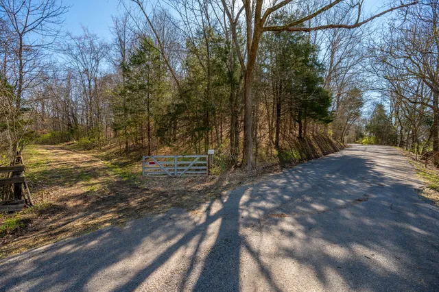 a view of outdoor space with trees