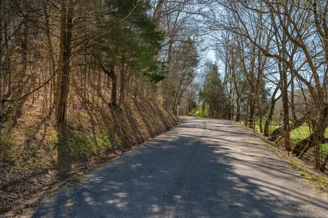 a view of a backyard of the house