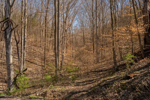 $2,999,999 | 0 Bedford Creek Road, Franklin, TN 37064