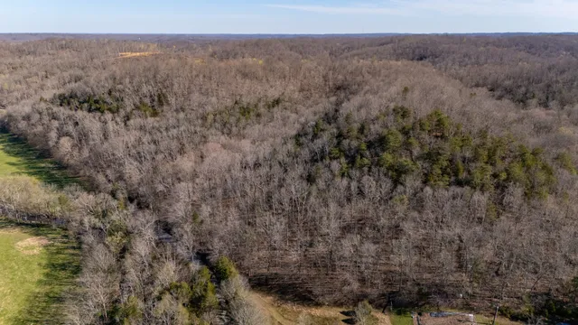 a view of a lake in middle of forest