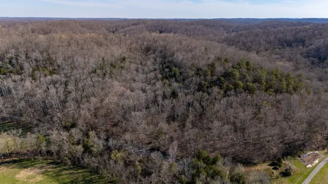a view of a city with lush green forest