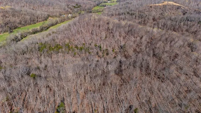 a view of a dry yard with green space