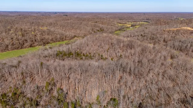 a view of a dry yard
