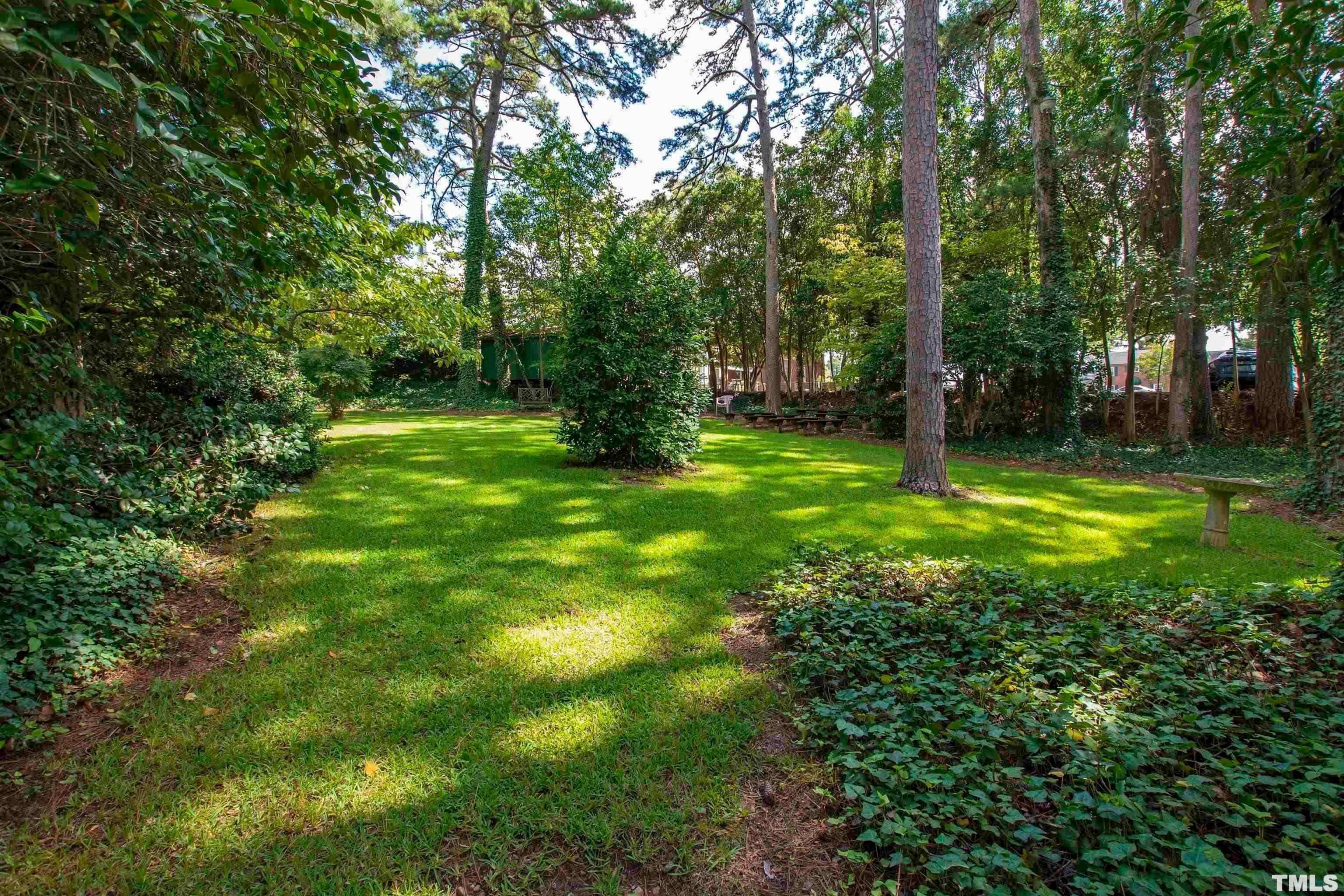 110 Shepherd Street Raleigh, NC 27607 - Photo 23 of 23 a view of a trees with a yard
