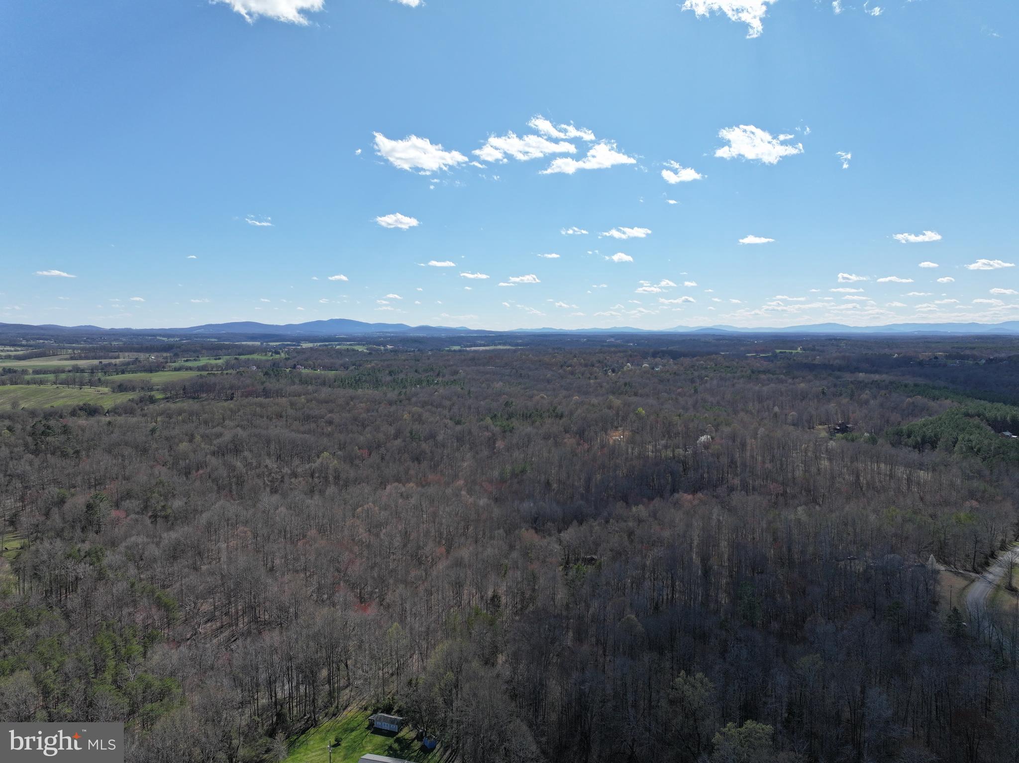 Tanners Road Orange, VA 22960 - Photo 2 of 3 a view of a yard and mountain in the distance