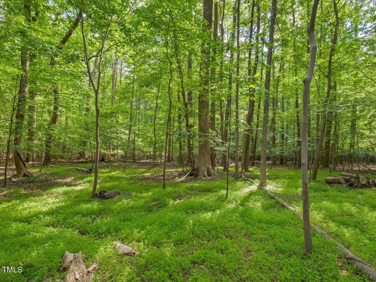 10609 Chinkapin Place Raleigh, NC 27613 - Photo 65 of 78 65-Backyard
