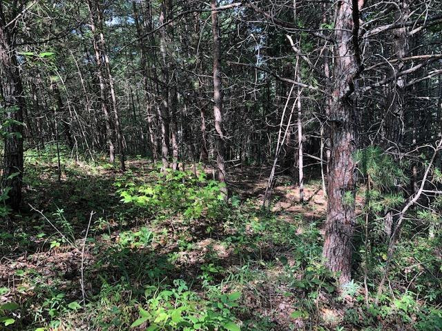 940 Beech Fork Road Clay City, KY 40312 - Photo 11 of 18 Photo 11