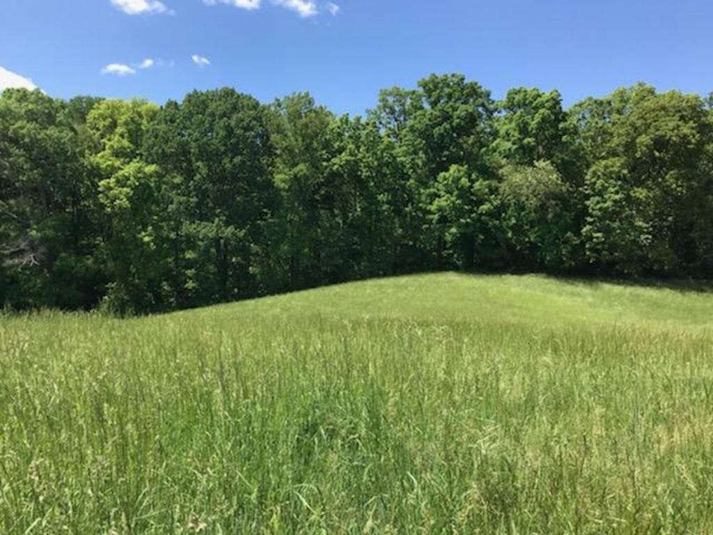 Tbd Jack Kyker Road Fall Branch, TN 37656 - Photo 2 of 8 Photo 2