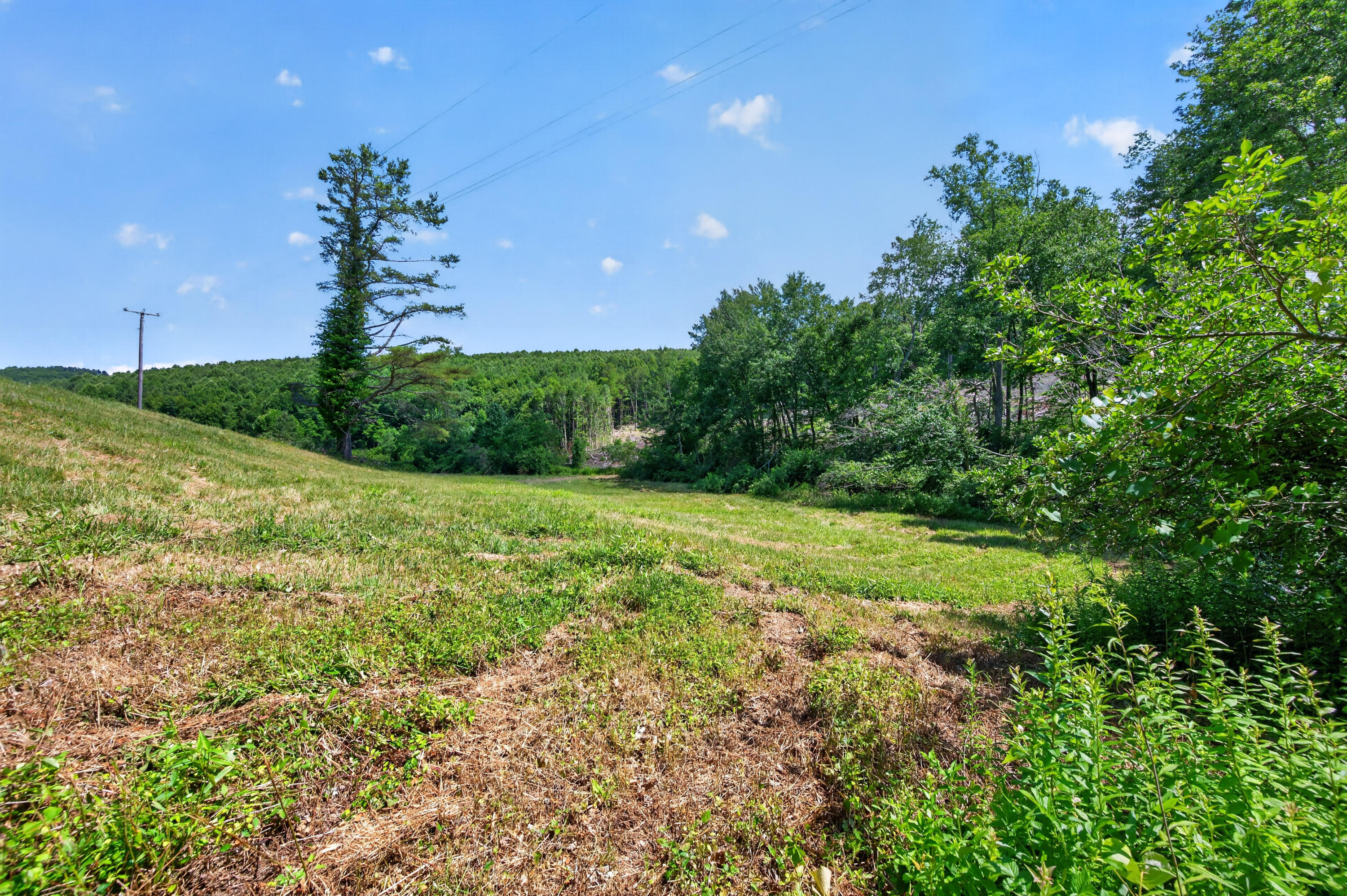 6196 Chances Creek Road Fancy Gap, VA 24328 - Photo 58 of 78 59