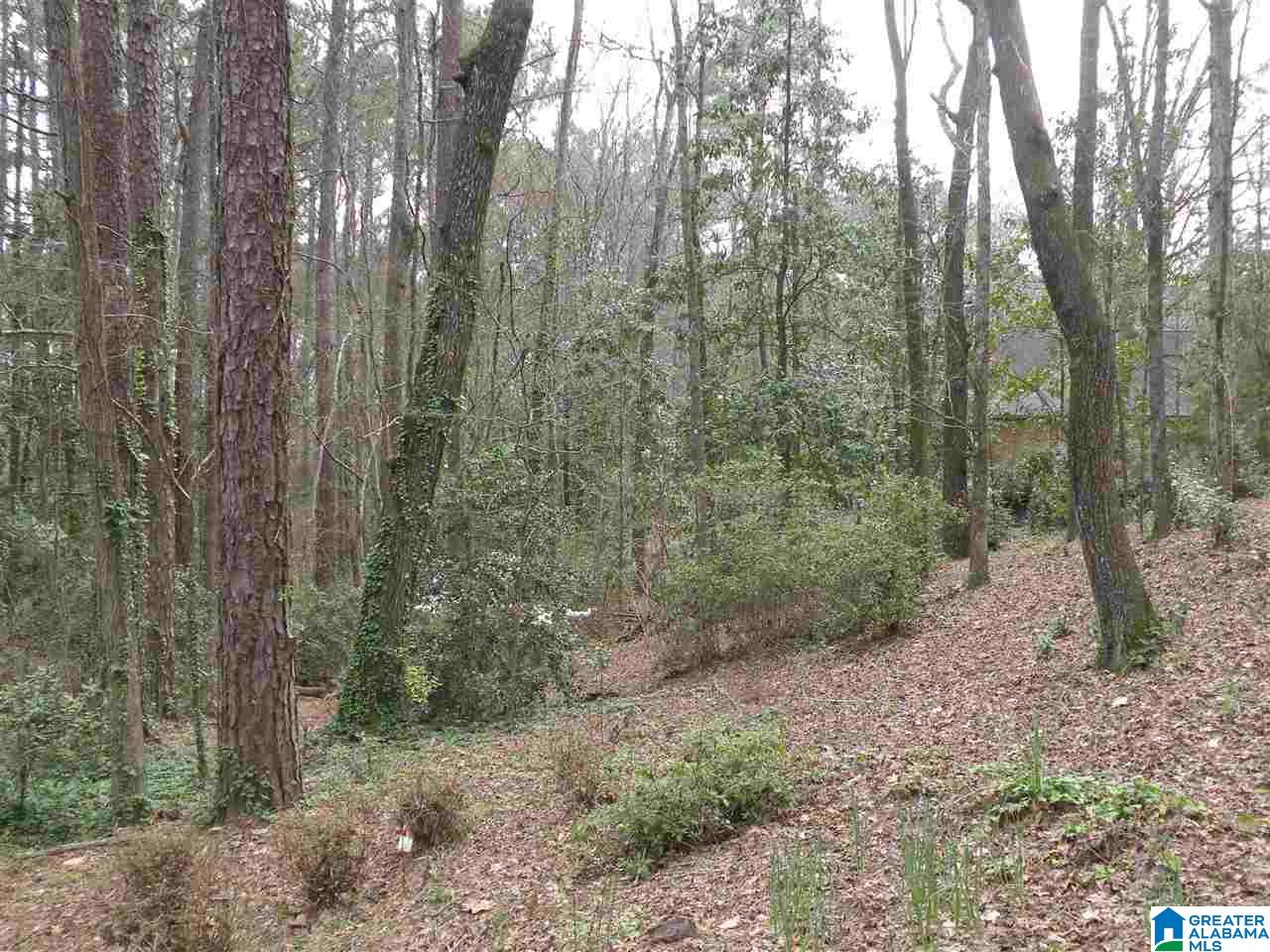 2423 Overhill Road Sylacauga, AL 35150 - Photo 37 of 38