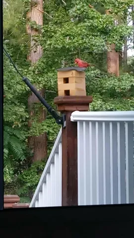 $1,169,500 | 111 Stonebridge Loop, McCormick, SC 29835