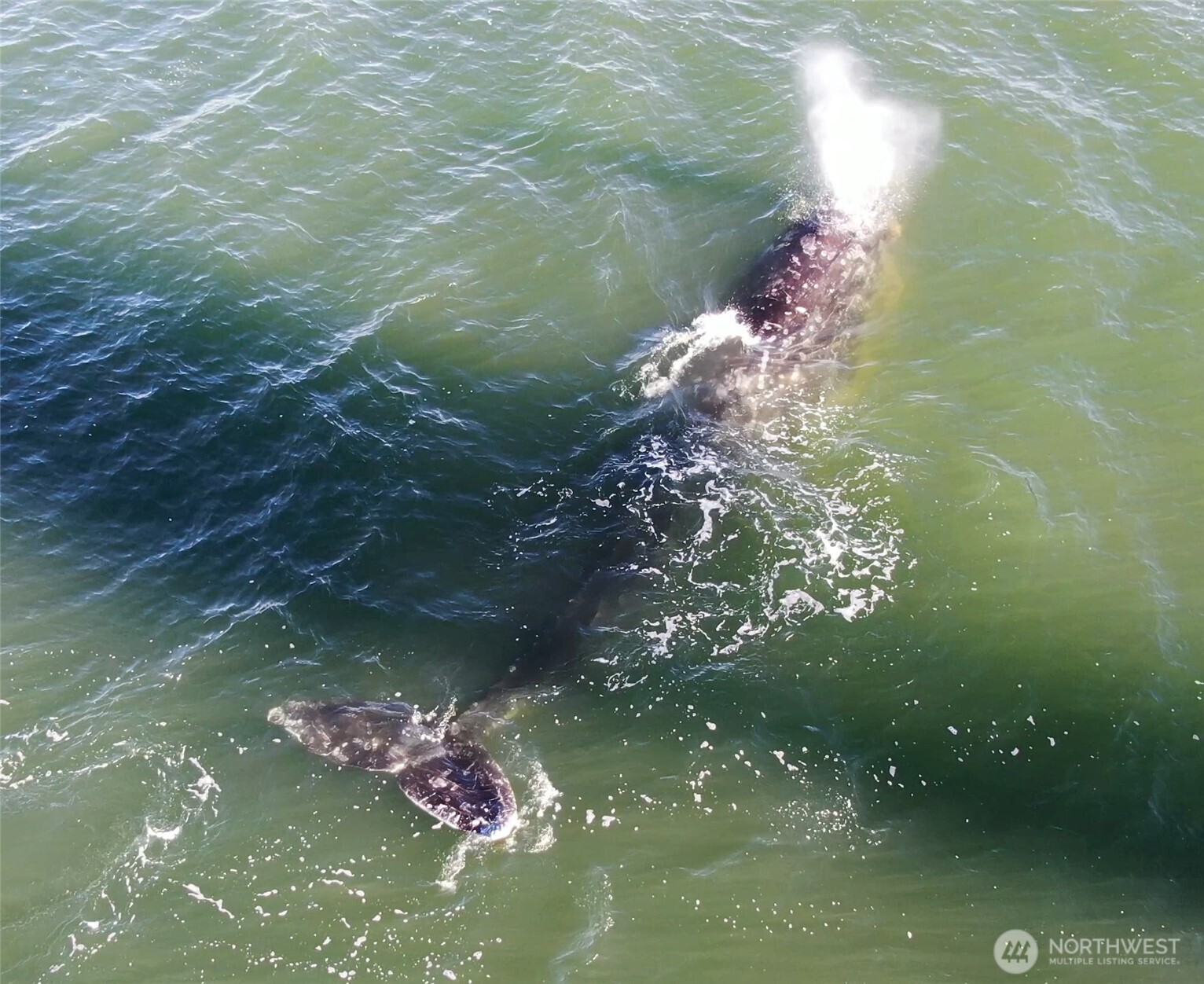 2999 Saratoga Road Langley, WA 98260 - Photo 37 of 40