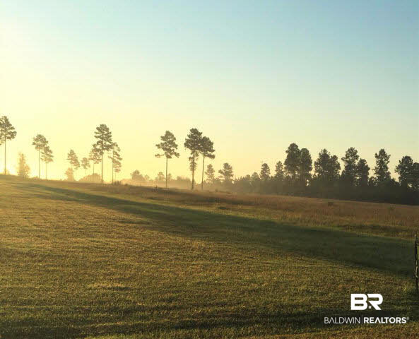 0 Dogwood Road Flomaton, AL 36441 - Photo 1 of 1