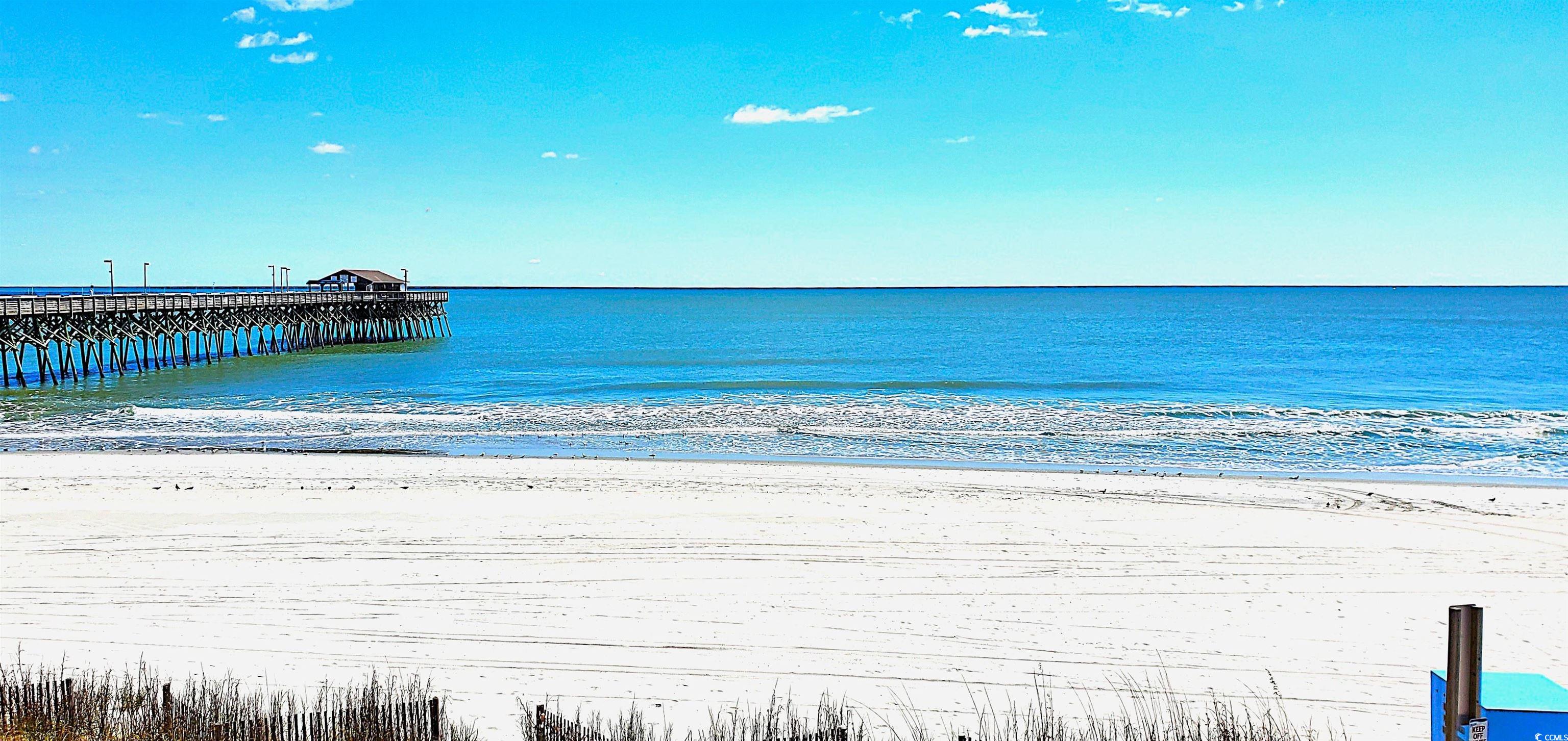 116 South Waccamaw Drive, Unit 207 Murrells Inlet, SC 29576 - Photo 5 of 26 Water view featuring local beach and a pier