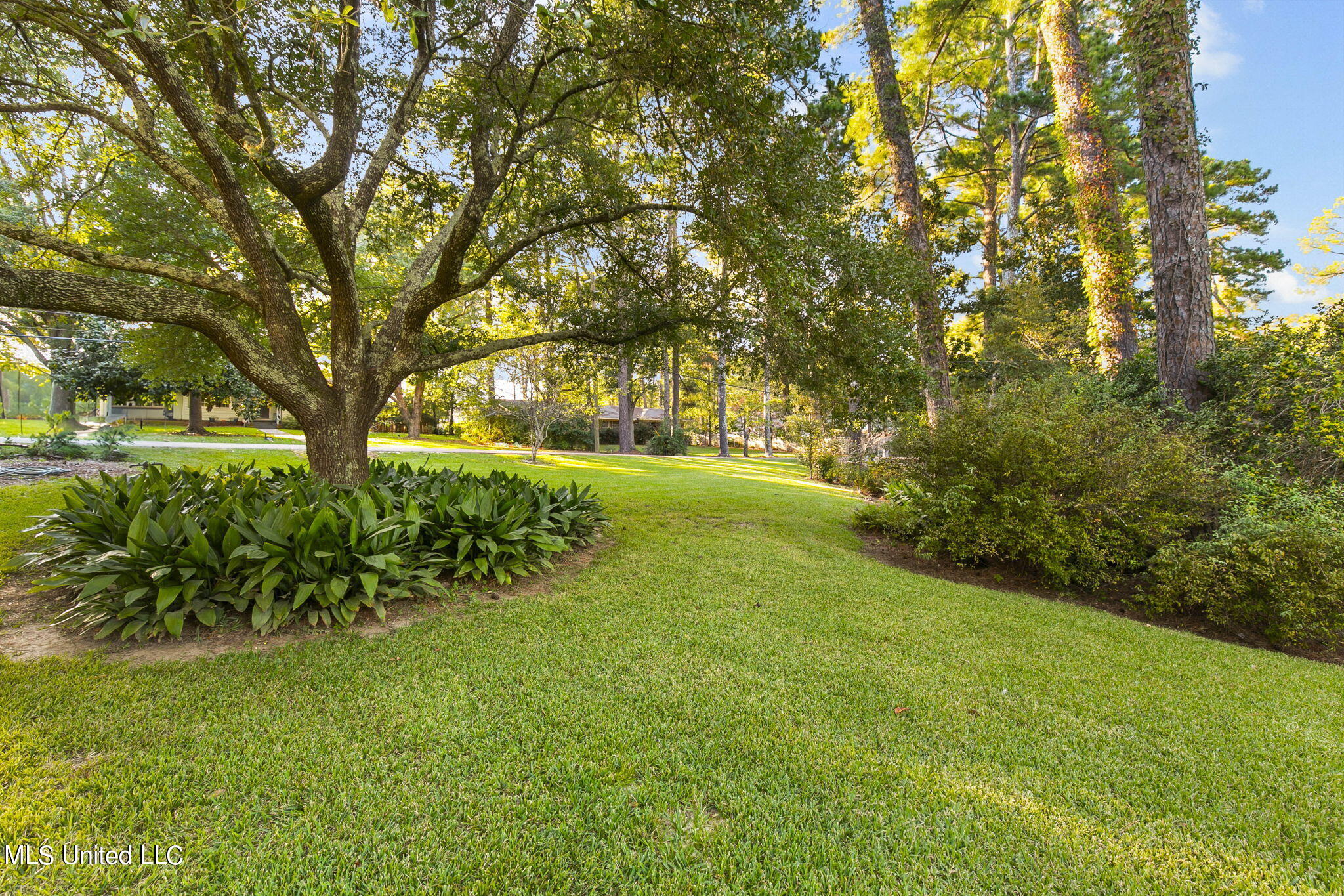 4526 Brook Drive Jackson, MS 39206 - Photo 68 of 69 13-web-or-mls-4526 Brook-13