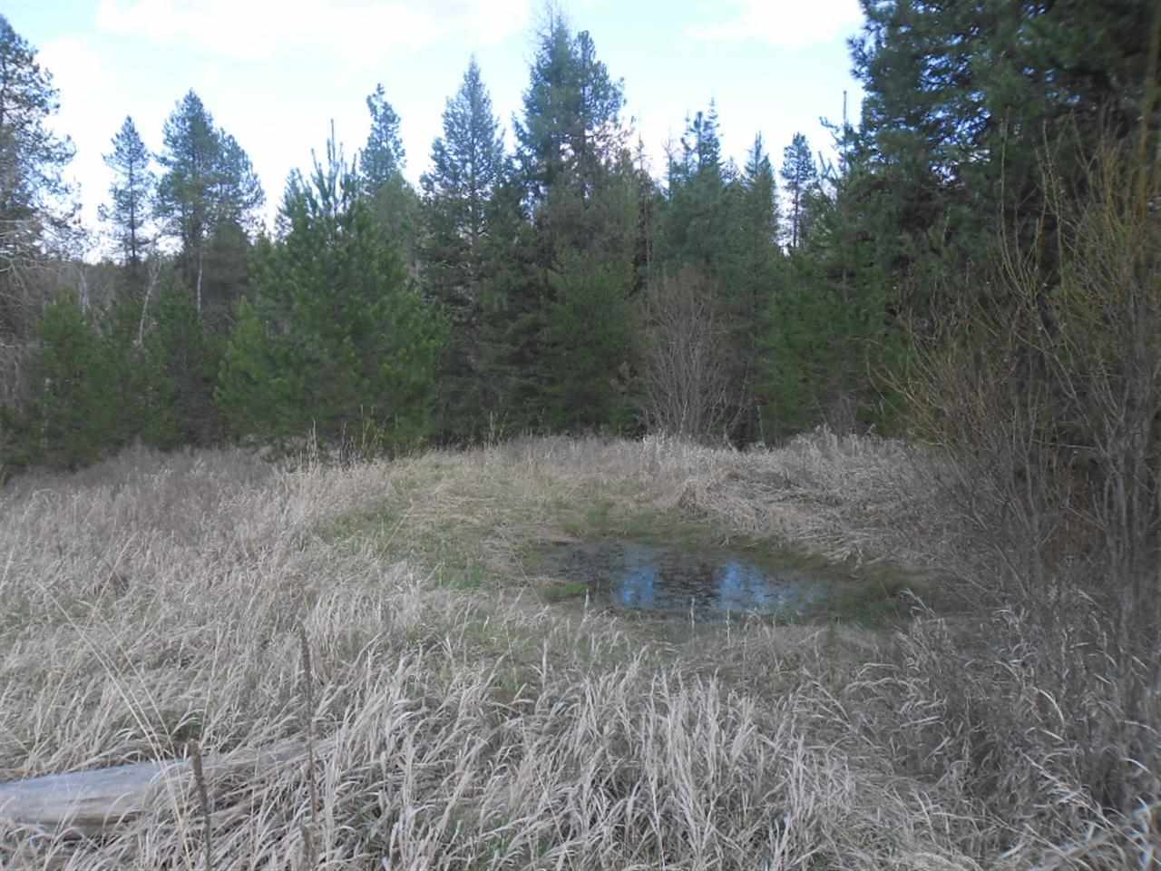 5198 Gennett Road Springdale, WA 99173 - Photo 16 of 20