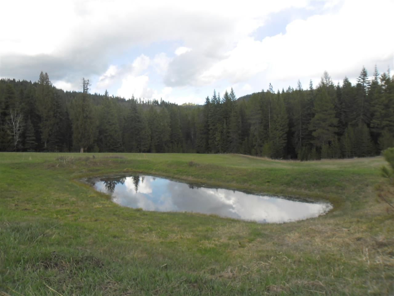 5198 Gennett Road Springdale, WA 99173 - Photo 18 of 20