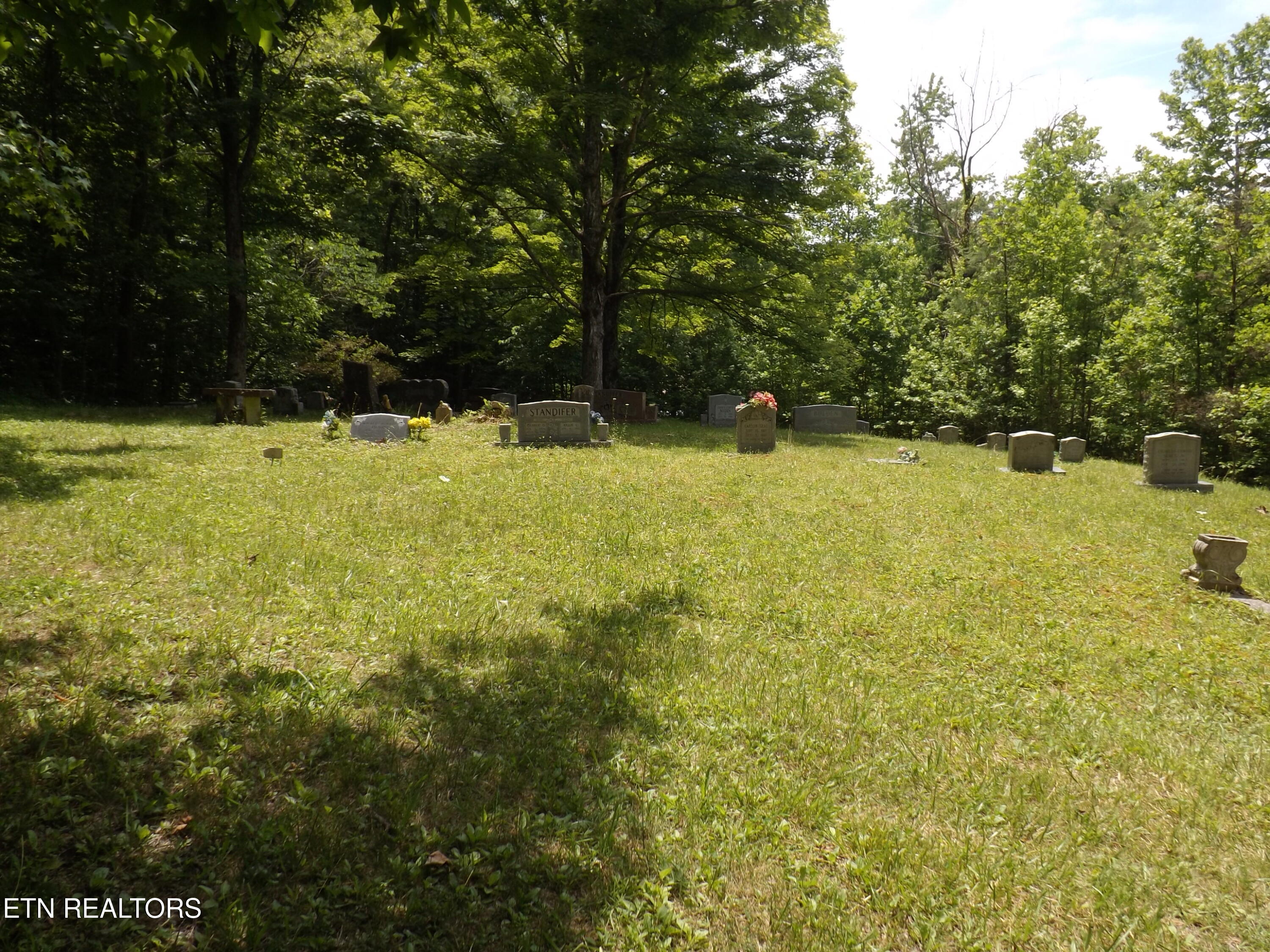 Tbd Snake Hollow Road Sneedville, TN 37869 - Photo 6 of 7 DSCF4322