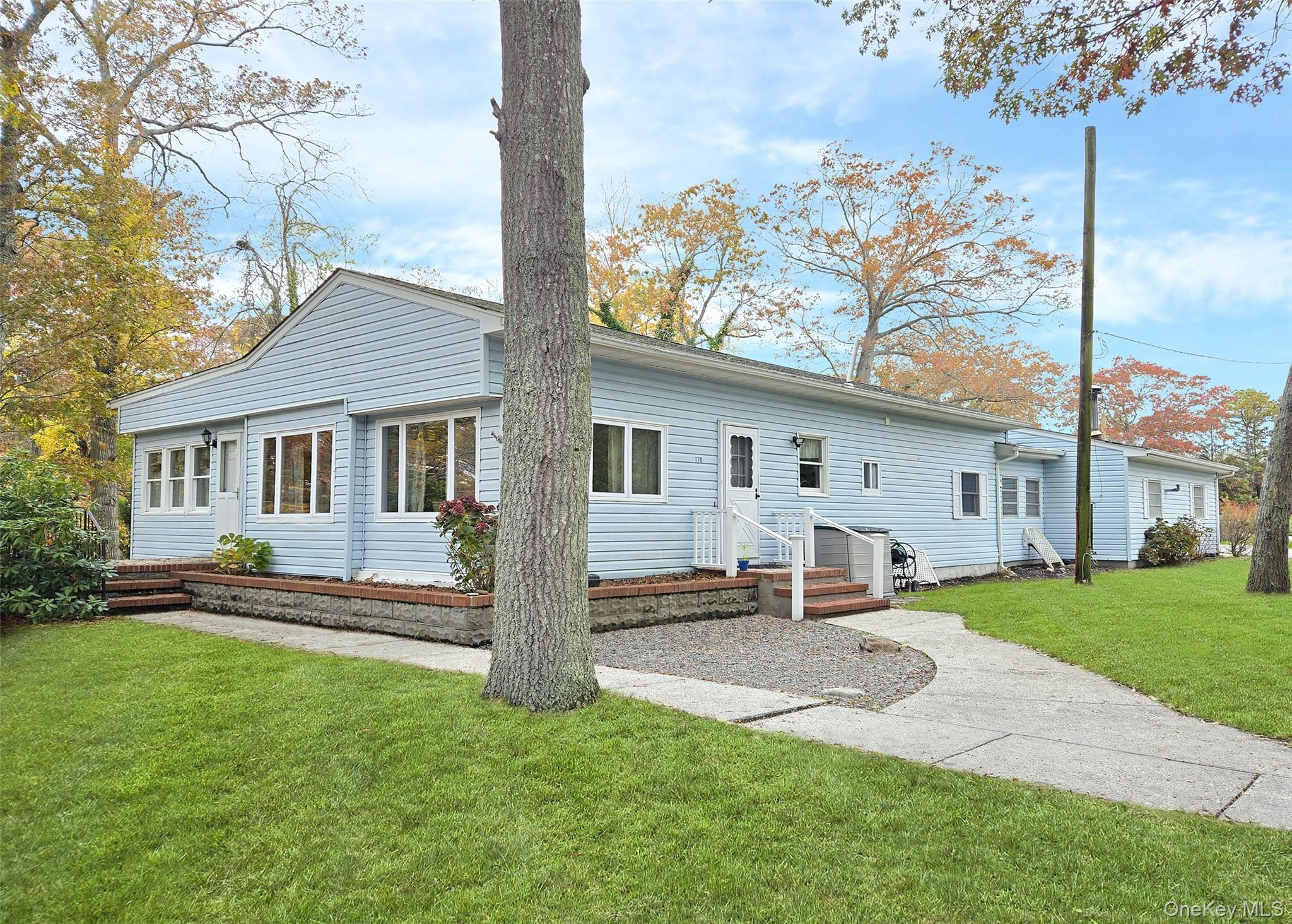 a view of a house with a backyard and a tree