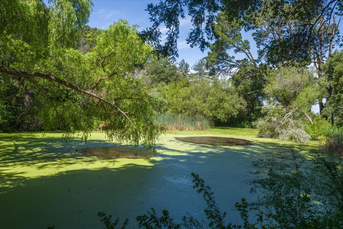 90 Hayfields Road Portola Valley, CA 94028 - Photo 5 of 59