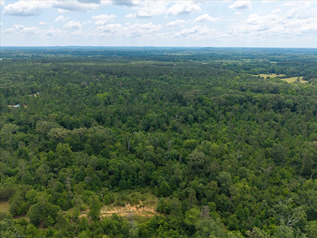 Tbd Williams Road Garrison, TX 75946 - Photo 12 of 18