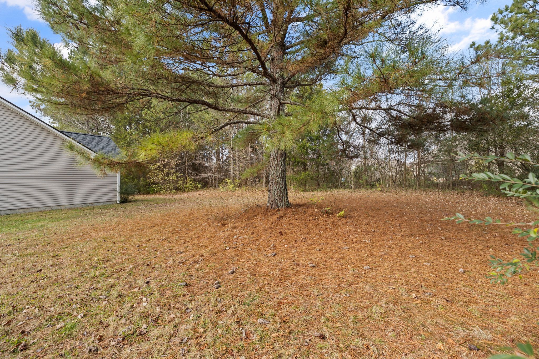 2041 Golden Court Spring Hill, TN 37174 - Photo 19 of 20 a backyard of a house with large trees