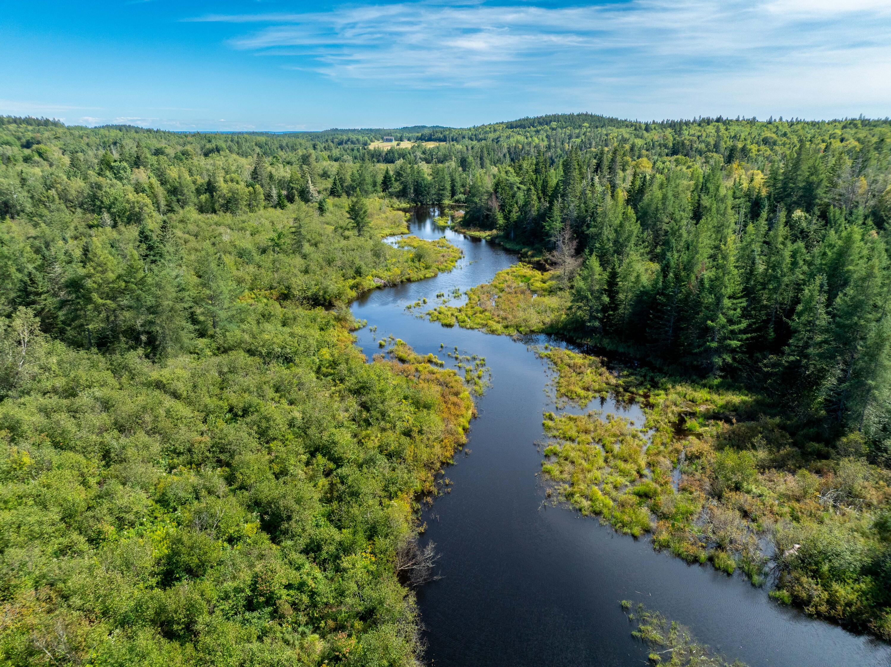 2 Map Lubec, ME 04652 - Photo 29 of 79 530+- acres Trescott Twp Maine (28 of 80