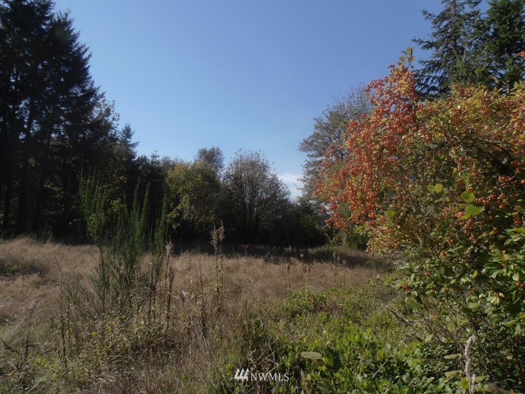 1196 Koontz Road Chehalis, WA 98532 - Photo 5 of 8